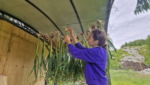 Vadstølen Markedshage