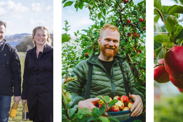 Alde Sider, Egge Gård, Tjoflot Sideri og Sandalen Gård – Smak & prat kurs