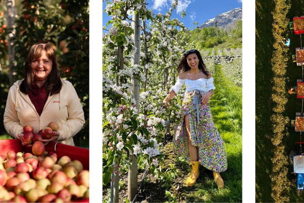 Edel Sider, OmCider og Gardsbrenneriet – Smak & prat kurs