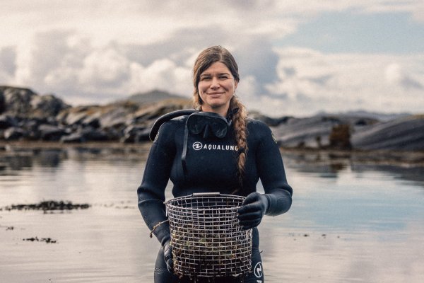Fjåk & Lillebø Lindeberg = En kulinarisk reise fra hav til bord